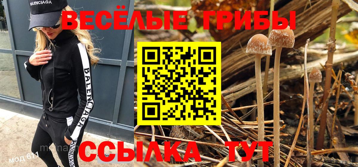Галлюциногенные грибы GOLDEN TEACHER  Вход с VPN  Рубцовск 