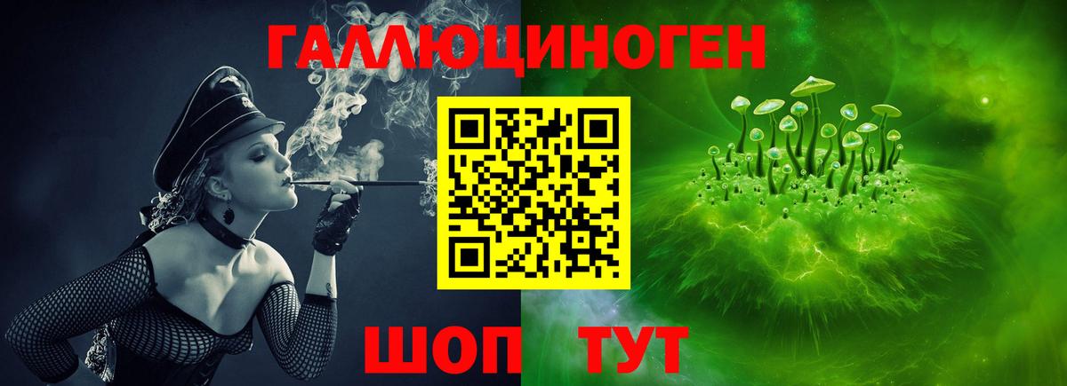 Галлюциногенные грибы Cubensis Рубцовск